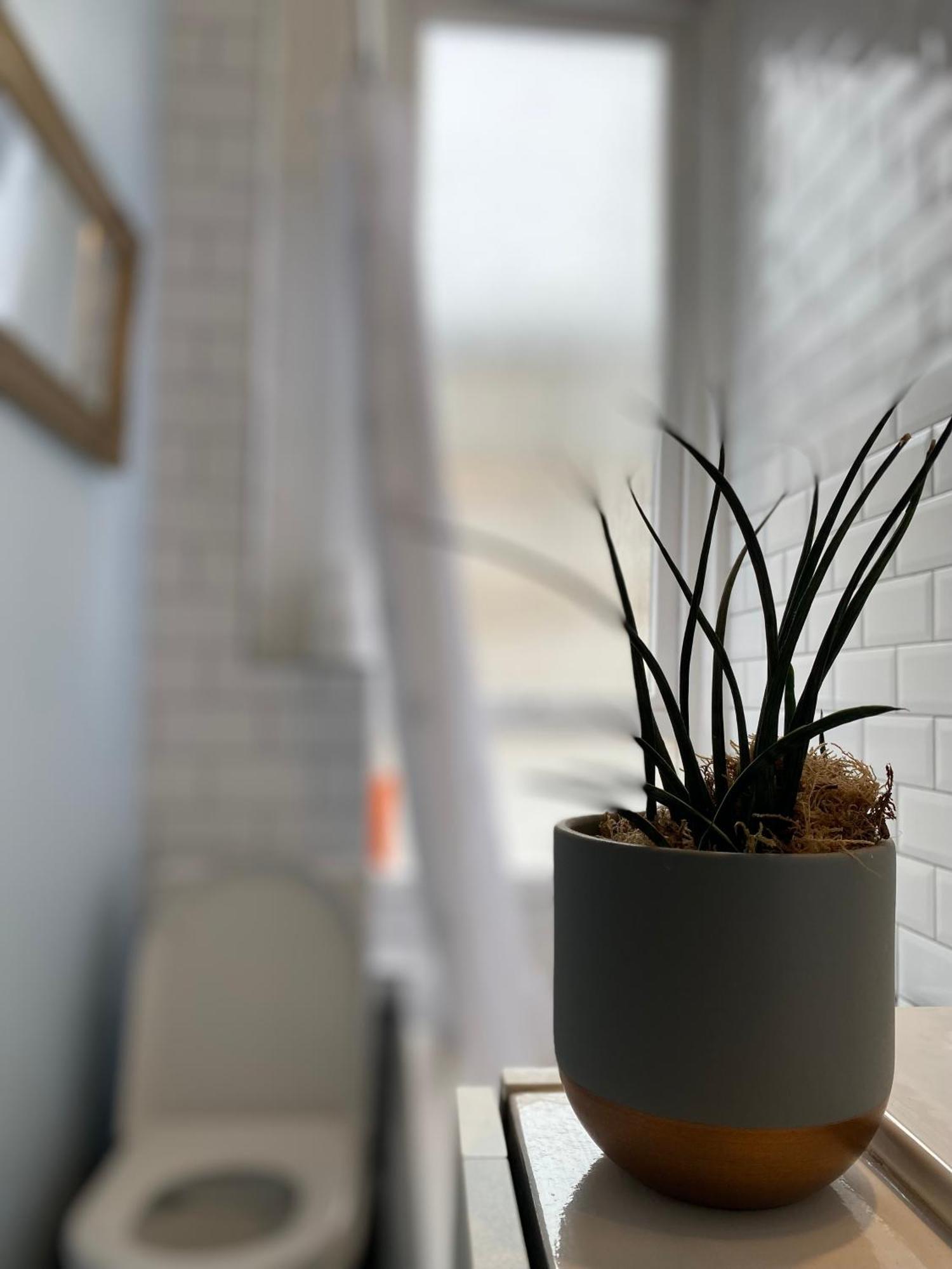 Appartement Charming 1 Bedroom